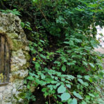 grotte2